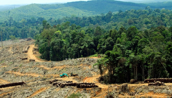 Berita Terupdate Lingkungan Hidup Perubahan Iklim Global