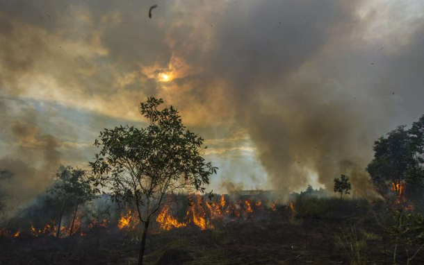 Kebakaran Hutan Kalimantan Besar